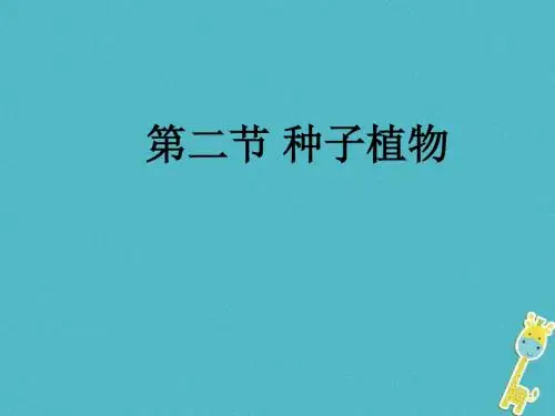 吉林省长市七年级生物上册第三单元第一章第二节《种子植物》课件1(新版)新人教版
