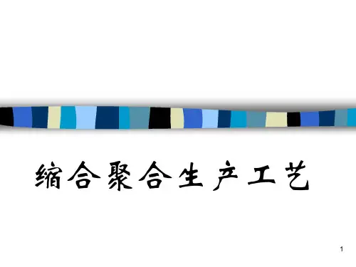 聚合反应工程-缩聚生产工艺(涤纶)