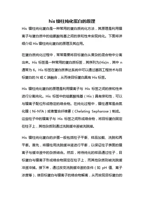his镍柱纯化蛋白的原理