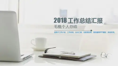 2018年-毛概个人总结-13【漂亮幻灯片ppt】