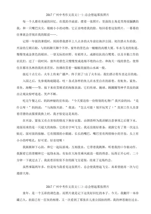 2017广州中考作文