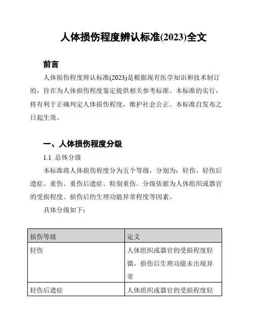 人体损伤程度辨认标准(2023)全文