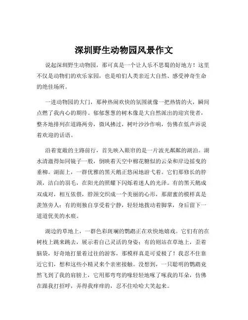深圳野生动物园风景作文