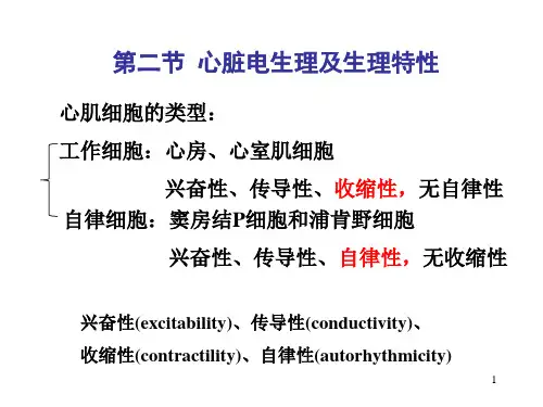 生理学：心脏电生理及生理特性