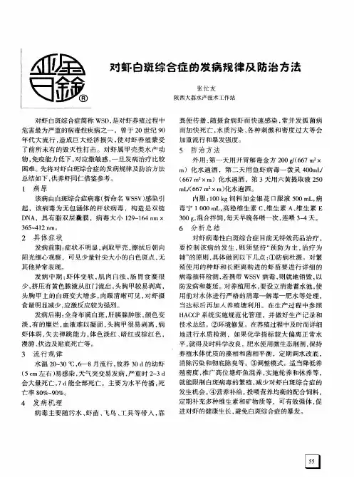 对虾白斑综合症的发病觏律及防治方法