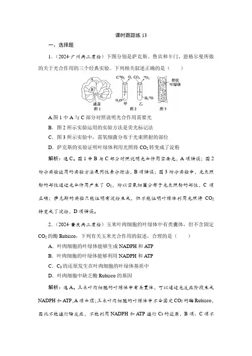 高考生物一轮复习课时跟踪练13含答案
