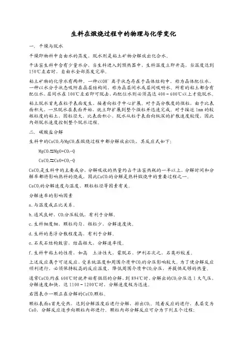 生料在煅烧过程中的物理与化学变化