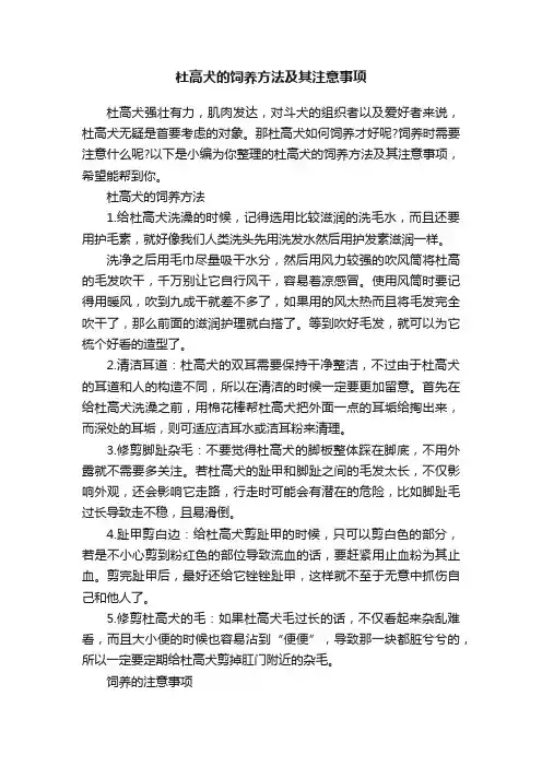杜高犬的饲养方法及其注意事项