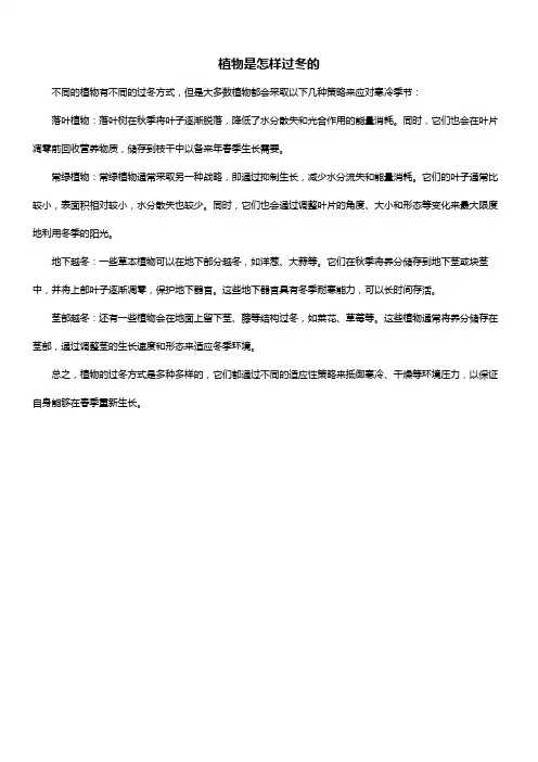 植物是怎样过冬的