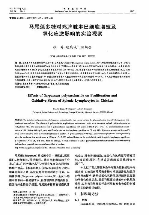 马尾藻多糖对鸡脾脏淋巴细胞增殖及氧化应激影响的实验观察