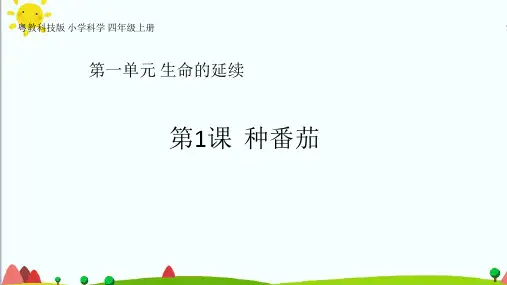 新教材 粤教版小学科学四年级上册【全册】课件