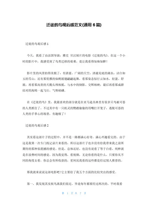 迁徙的鸟观后感范文(通用6篇)