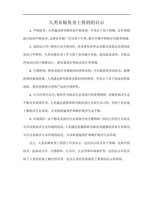 人类从鲸鱼身上得到的启示