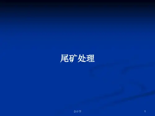 尾矿处理PPT学习教案