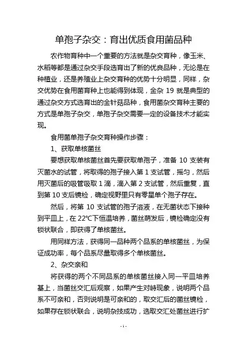 单孢子杂交：育出优质食用菌品种