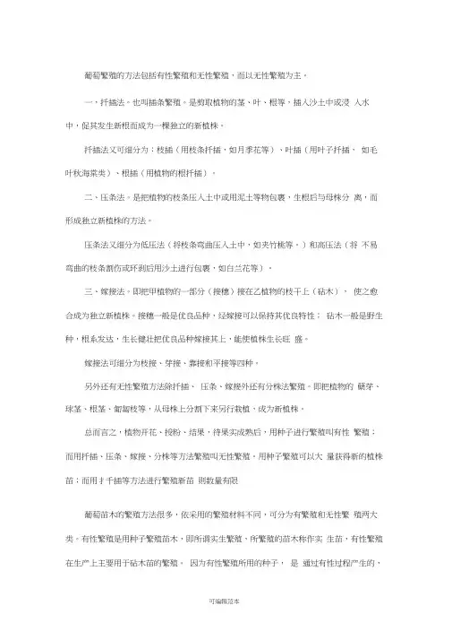 葡萄的繁殖方法
