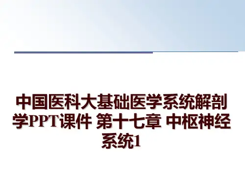 最新中国医科大基础医学系统解剖学PPT课件 第十七章 中枢神经系统1PPT课件