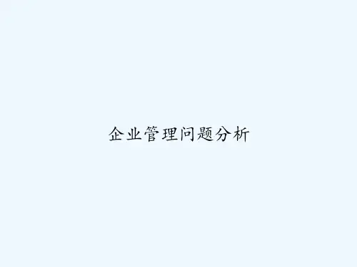 企业管理问题分析 PPT