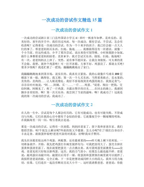 一次成功的尝试作文精选15篇