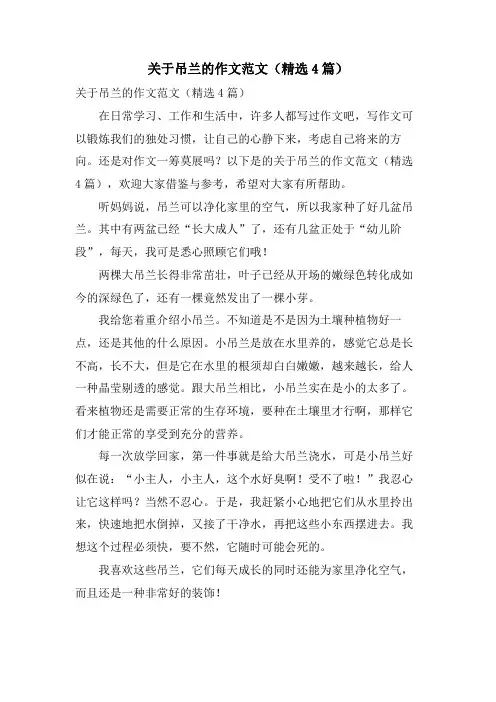 关于吊兰的作文范文(4篇)