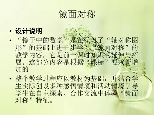 镜面对称ppt课件