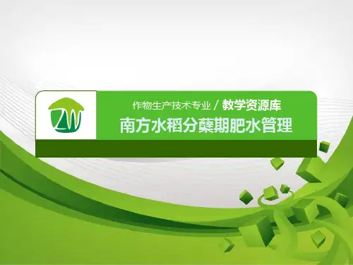 369-教学课件-南方水稻分蘖期肥水管理(精)