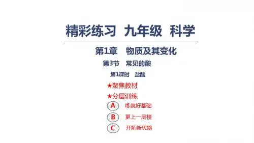 2018秋浙教版九年级上册科学课件：1.3.1盐酸