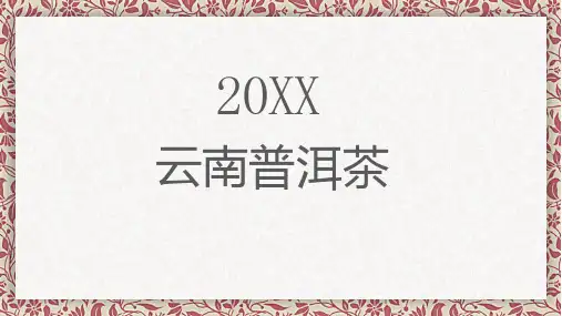 云南普洱茶