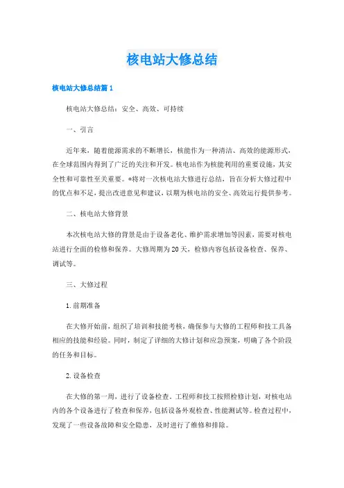 核电站大修总结