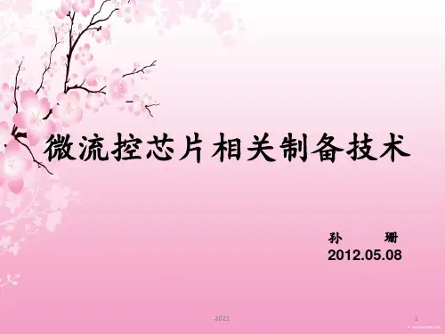 微流控芯片PPT课件