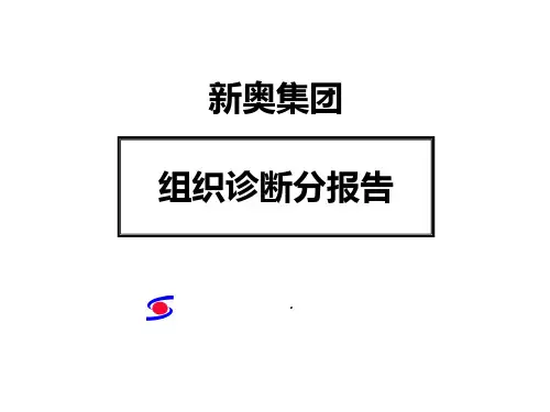新奥集团组织结构与运行现状