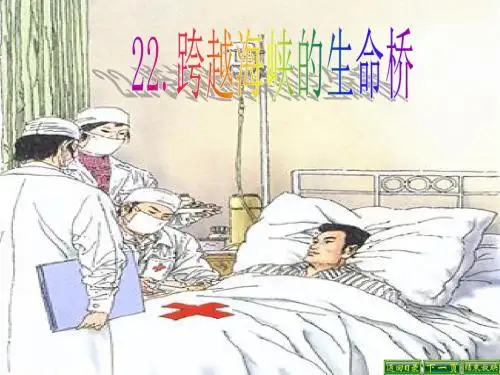22.跨越海峡的生命桥课件ppt