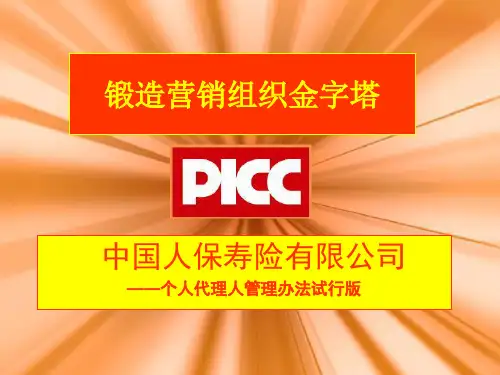 推荐-PICC公司基本法316业务员宣导版 精品