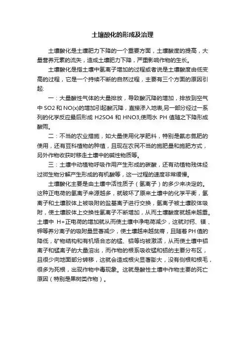 土壤酸化的形成及治理