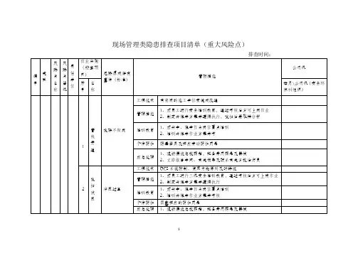 一级重大风险(公司级隐患排查清单)