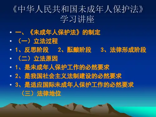 未成年人保护法宣传 PPT课件