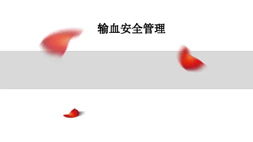 输血安全管理ppt课件
