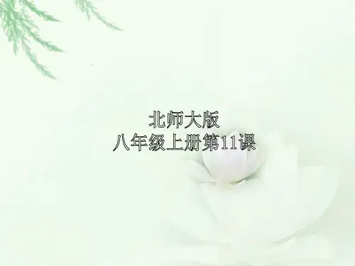 第11课 社会生活的变迁ppt