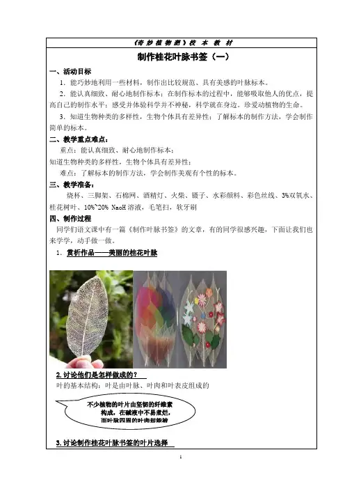 【校本教案】叶脉书签制作(一)