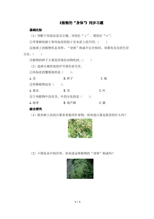 青岛版(六三制)小学三年级科学上册《植物的“身体”》同步习题