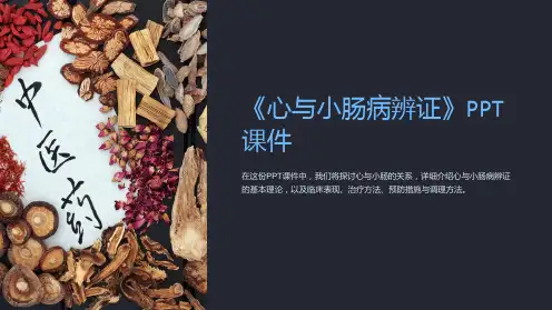 《心与小肠病辨证》课件