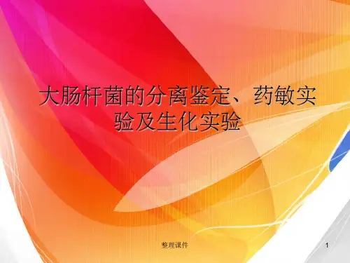 大肠杆菌的分离鉴定