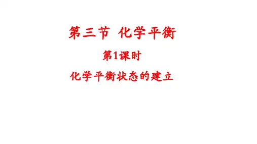 化学平衡的建立