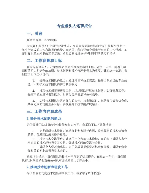 专业带头人述职报告