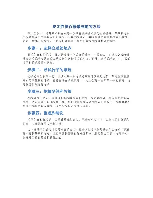 挖冬笋找竹根最准确的方法