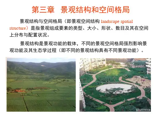 景观生态学第3章