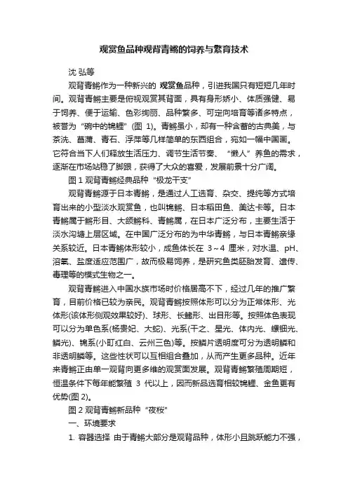 观赏鱼品种观背青鳉的饲养与繁育技术