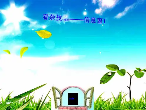 二年级数学上册 第二单元《看杂技 表内乘法(一)》(信息窗1)课件