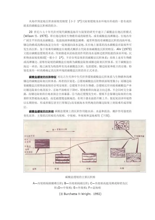 碳酸盐缓坡沉积体系