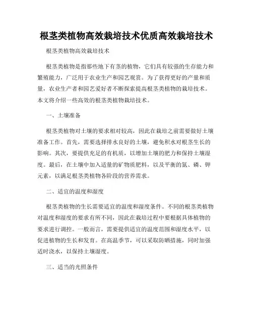 根茎类植物高效栽培技术优质高效栽培技术
